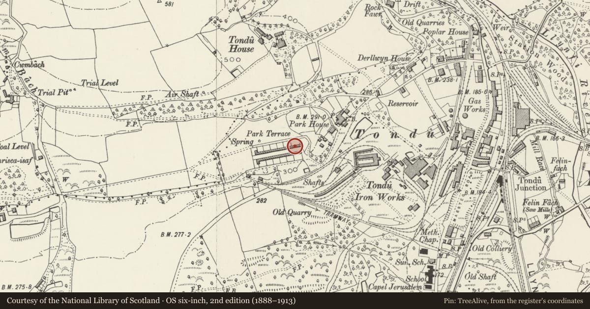 Ordnance Survey six-inch map, 2nd edition (1888–1913) covering the location of 27-52 Park Terrace (consec), Ynysawdre, Bridgend, with a pin at the register's coordinates