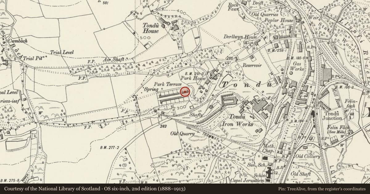 Ordnance Survey six-inch map, 2nd edition (1888–1913) covering the location of 27-52 Park Terrace (consec), Ynysawdre, Bridgend, with a pin at the register's coordinates