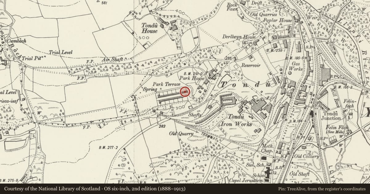 Ordnance Survey six-inch map, 2nd edition (1888–1913) covering the location of 27-52 Park Terrace (consec), Ynysawdre, Bridgend, with a pin at the register's coordinates