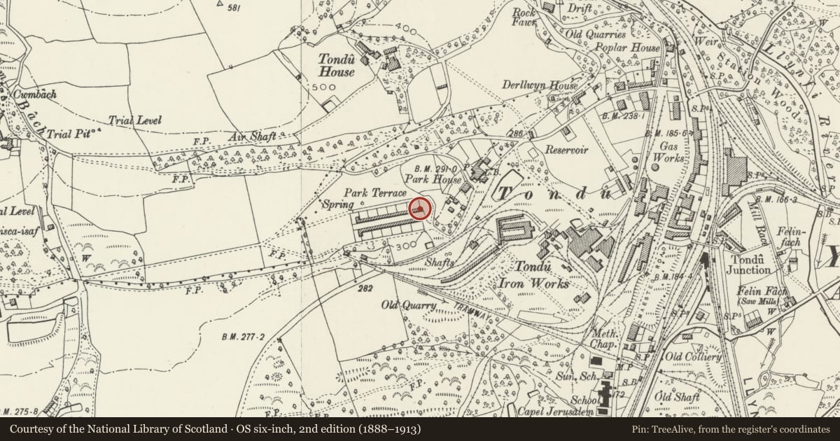 Ordnance Survey six-inch map, 2nd edition (1888–1913) covering the location of 27-52 Park Terrace (consec), Ynysawdre, Bridgend, with a pin at the register's coordinates