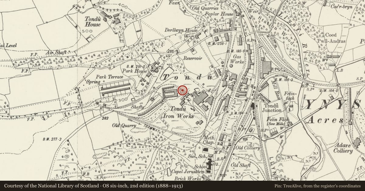 Ordnance Survey six-inch map, 2nd edition (1888–1913) covering the location of Calcining Kilns and attached abutment at Tondu Ironworks, Ynysawdre, Bridgend, with a pin at the register's coordinates