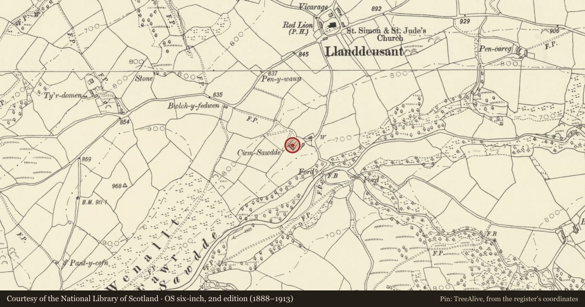 Ordnance Survey six-inch map, 2nd edition (1888–1913) covering the location of Cwmsawdde, Llanddeusant, Carmarthenshire, with a pin at the register's coordinates