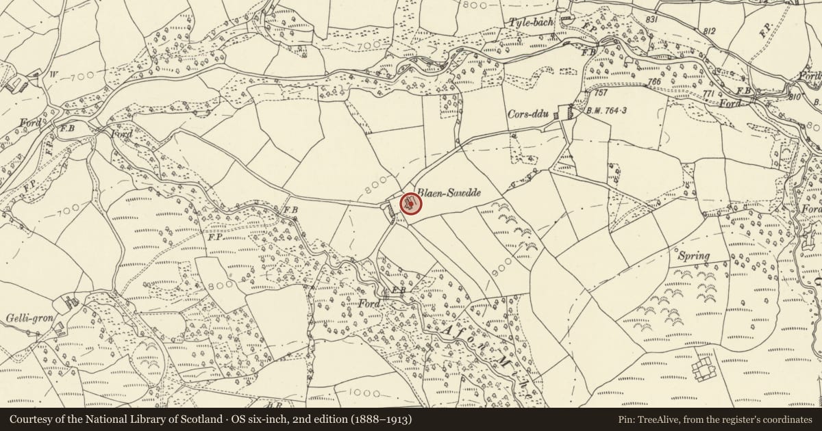 Ordnance Survey six-inch map, 2nd edition (1888–1913) covering the location of Blaensawdde, Llanddeusant, Carmarthenshire, with a pin at the register's coordinates
