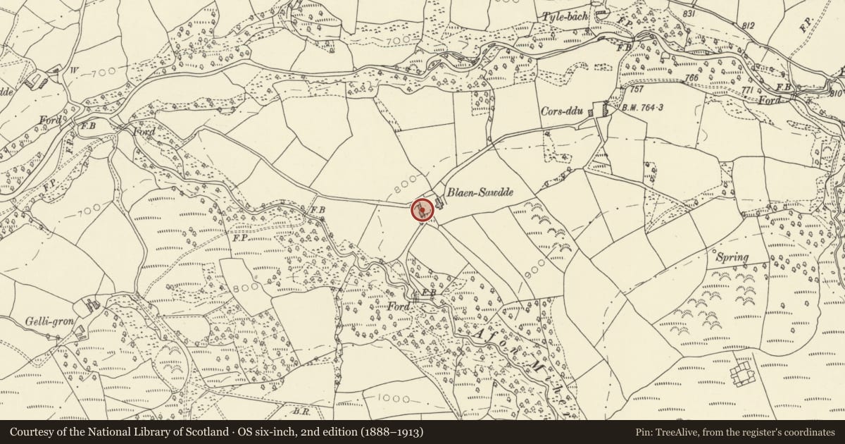 Ordnance Survey six-inch map, 2nd edition (1888–1913) covering the location of Barn range at Blaensawdde, Llanddeusant, Carmarthenshire, with a pin at the register's coordinates