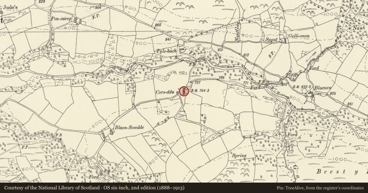 Ordnance Survey six-inch map, 2nd edition (1888–1913) covering the location of Gorsddu, Llanddeusant, Carmarthenshire, with a pin at the register's coordinates