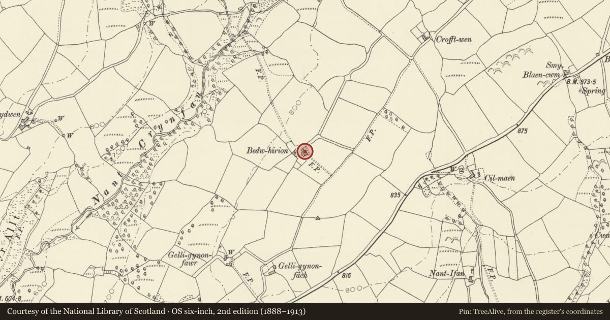 Ordnance Survey six-inch map, 2nd edition (1888–1913) covering the location of Bedw Hirion, Llanddeusant, Carmarthenshire, with a pin at the register's coordinates