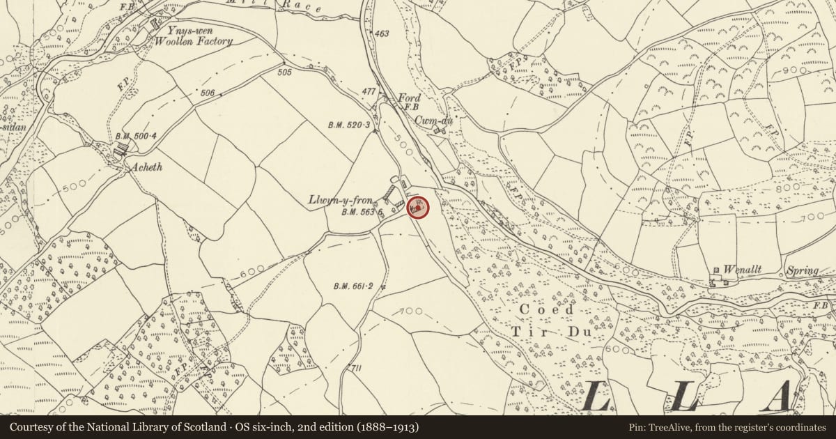 Ordnance Survey six-inch map, 2nd edition (1888–1913) covering the location of Llwynfron, Llanddeusant, Carmarthenshire, with a pin at the register's coordinates
