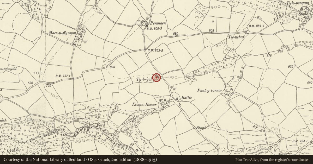 Ordnance Survey six-inch map, 2nd edition (1888–1913) covering the location of Ty Brych, Llanddeusant, Carmarthenshire, with a pin at the register's coordinates