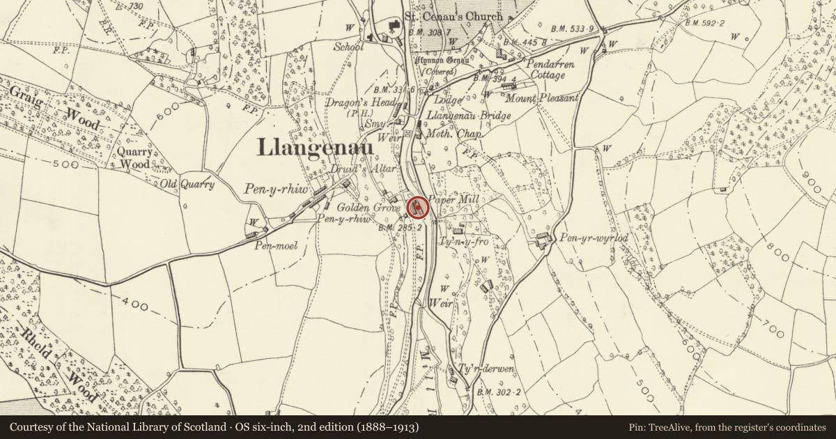 Ordnance Survey six-inch map, 2nd edition (1888–1913) covering the location of Drying House of former Golden Grove Paper Mill, The Vale of Grwyney, Powys, with a pin at the register's coordinates