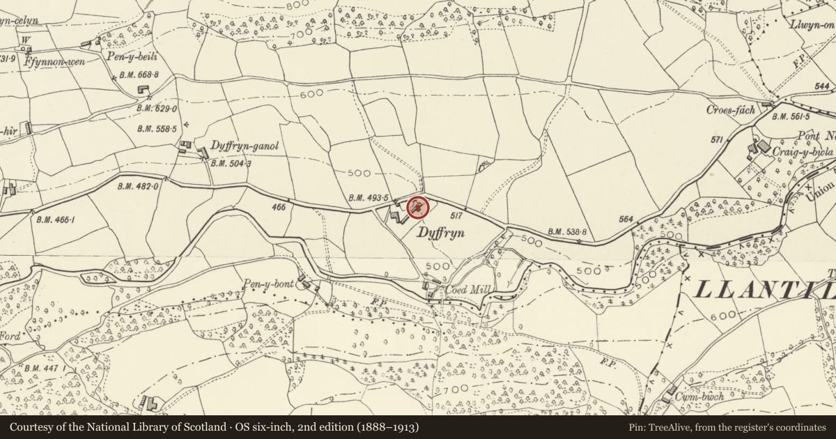 Ordnance Survey six-inch map, 2nd edition (1888–1913) covering the location of Dyffryn, The Vale of Grwyney, Powys, with a pin at the register's coordinates