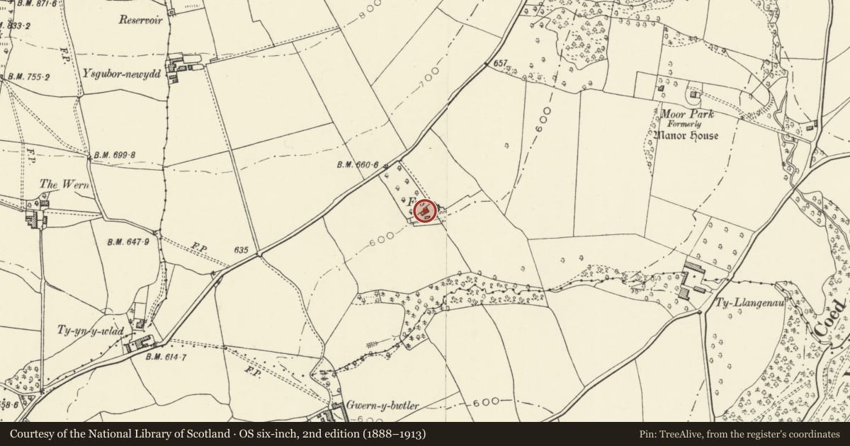 Ordnance Survey six-inch map, 2nd edition (1888–1913) covering the location of Barn at Y Fro, The Vale of Grwyney, Powys, with a pin at the register's coordinates