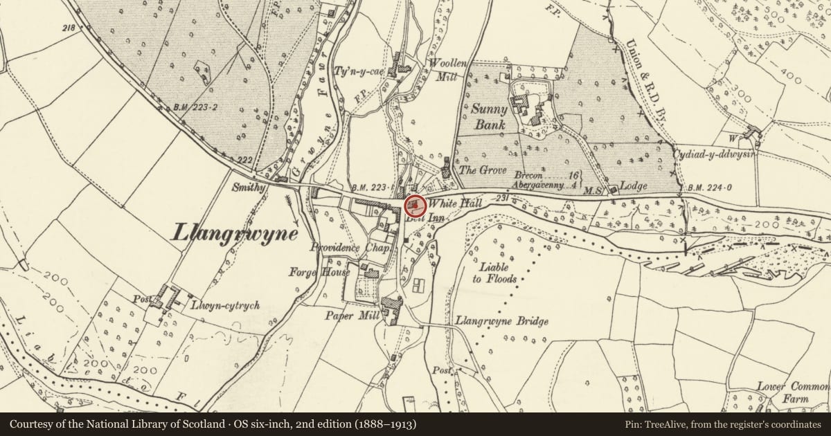 Ordnance Survey six-inch map, 2nd edition (1888–1913) covering the location of White Hall, The Vale of Grwyney, Powys, with a pin at the register's coordinates