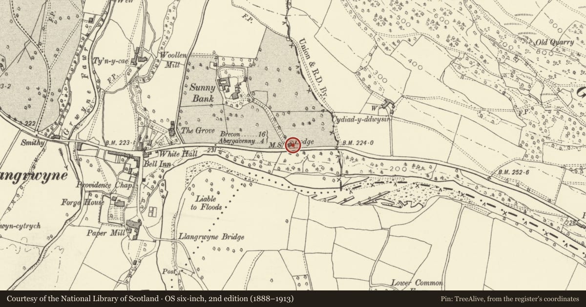 Ordnance Survey six-inch map, 2nd edition (1888–1913) covering the location of Glangrwyne Court Lodge, The Vale of Grwyney, Powys, with a pin at the register's coordinates