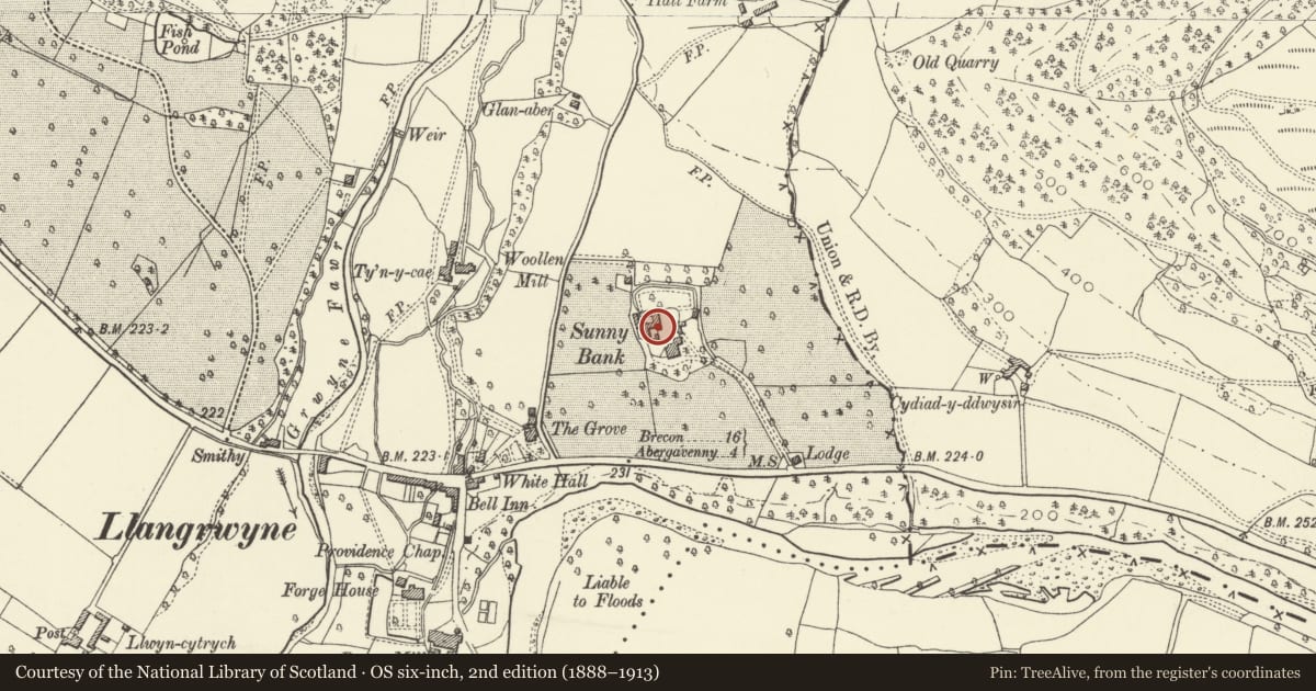 Ordnance Survey six-inch map, 2nd edition (1888–1913) covering the location of South Stable and Service Block at Glangrwyne Court, The Vale of Grwyney, Powys, with a pin at the register's coordinates