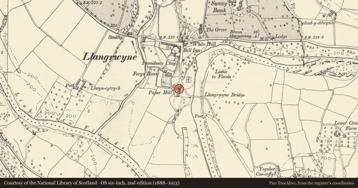 Ordnance Survey six-inch map, 2nd edition (1888–1913) covering the location of Former Paper Mill at Usk Vale Mill, The Vale of Grwyney, Powys, with a pin at the register's coordinates