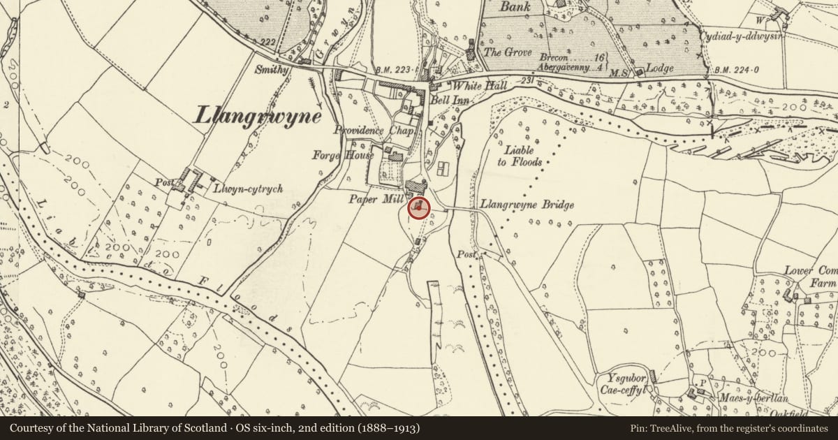 Ordnance Survey six-inch map, 2nd edition (1888–1913) covering the location of Brick Sheds of former Paper Mill at Usk Vale Mill, The Vale of Grwyney, Powys, with a pin at the register's coordinates