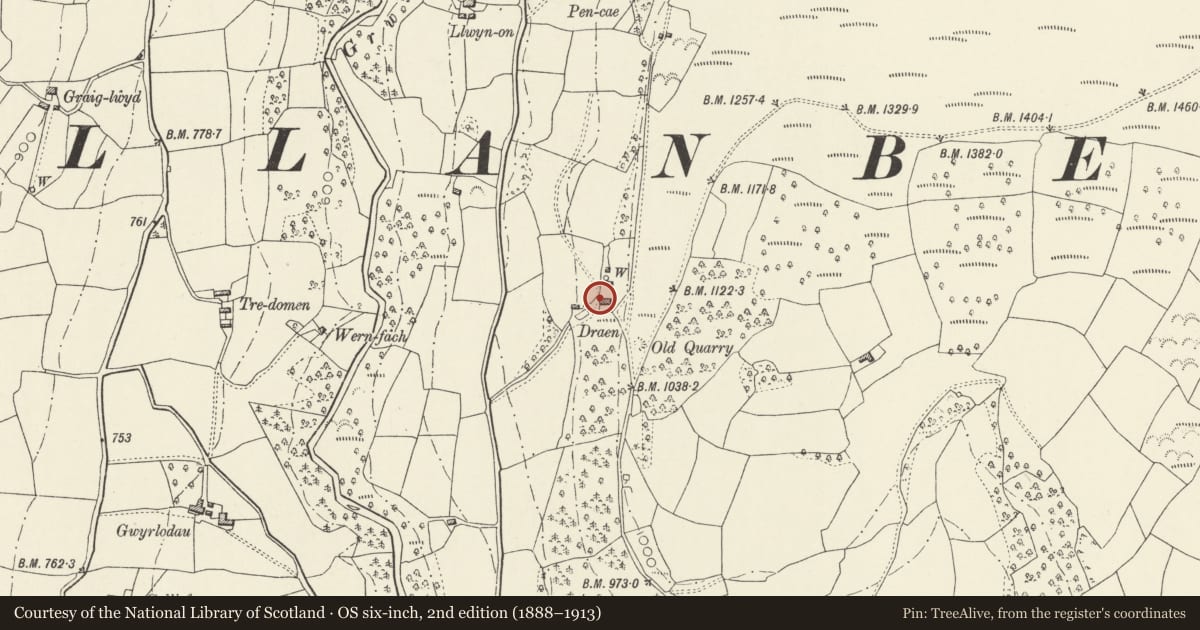 Ordnance Survey six-inch map, 2nd edition (1888–1913) covering the location of Draen including attached former byre, The Vale of Grwyney, Powys, with a pin at the register's coordinates