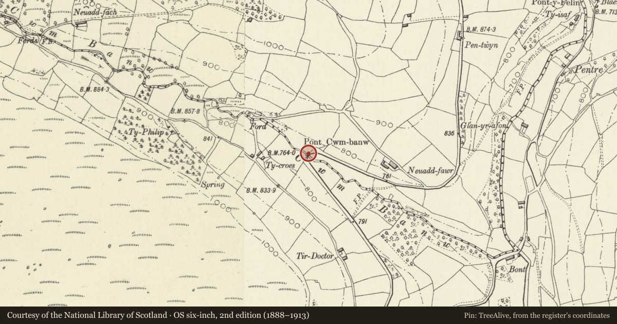Ordnance Survey six-inch map, 2nd edition (1888–1913) covering the location of Pont Cwm Banw, The Vale of Grwyney, Powys, with a pin at the register's coordinates