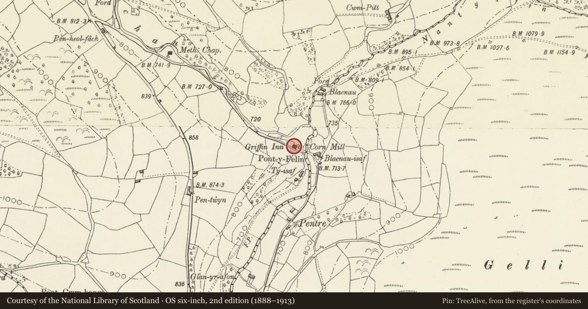 Ordnance Survey six-inch map, 2nd edition (1888–1913) covering the location of The Mill, The Vale of Grwyney, Powys, with a pin at the register's coordinates