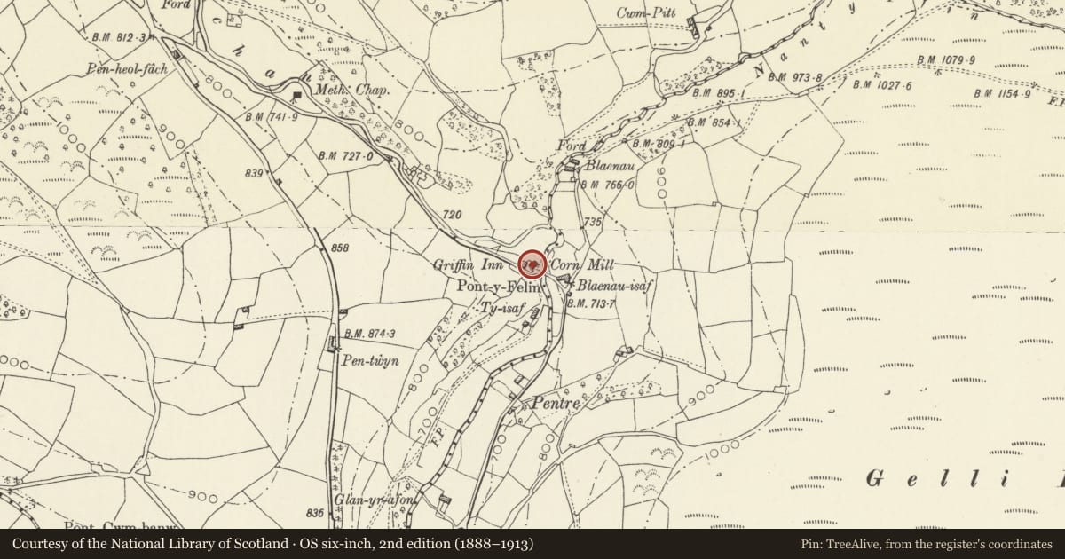 Ordnance Survey six-inch map, 2nd edition (1888–1913) covering the location of Former Flour and Grist Mill at The Mill, The Vale of Grwyney, Powys, with a pin at the register's coordinates