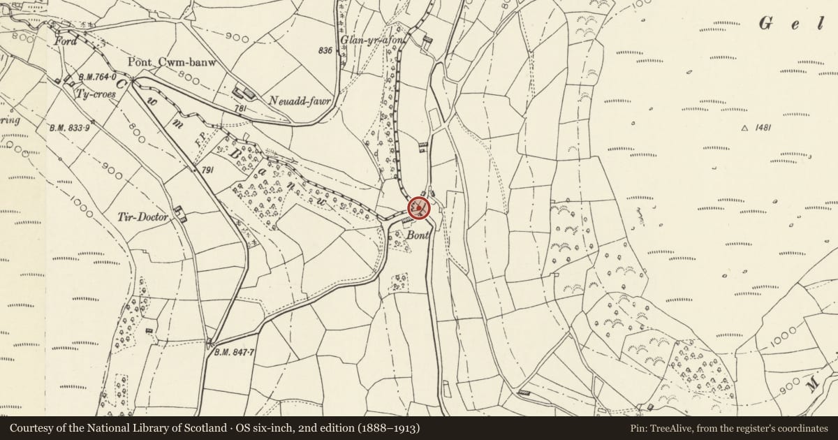 Ordnance Survey six-inch map, 2nd edition (1888–1913) covering the location of Road bridge at The Bont, The Vale of Grwyney, Powys, with a pin at the register's coordinates