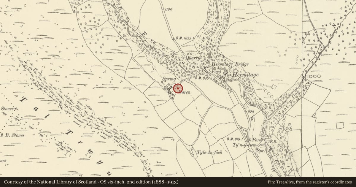 Ordnance Survey six-inch map, 2nd edition (1888–1913) covering the location of The Darren, The Vale of Grwyney, Powys, with a pin at the register's coordinates