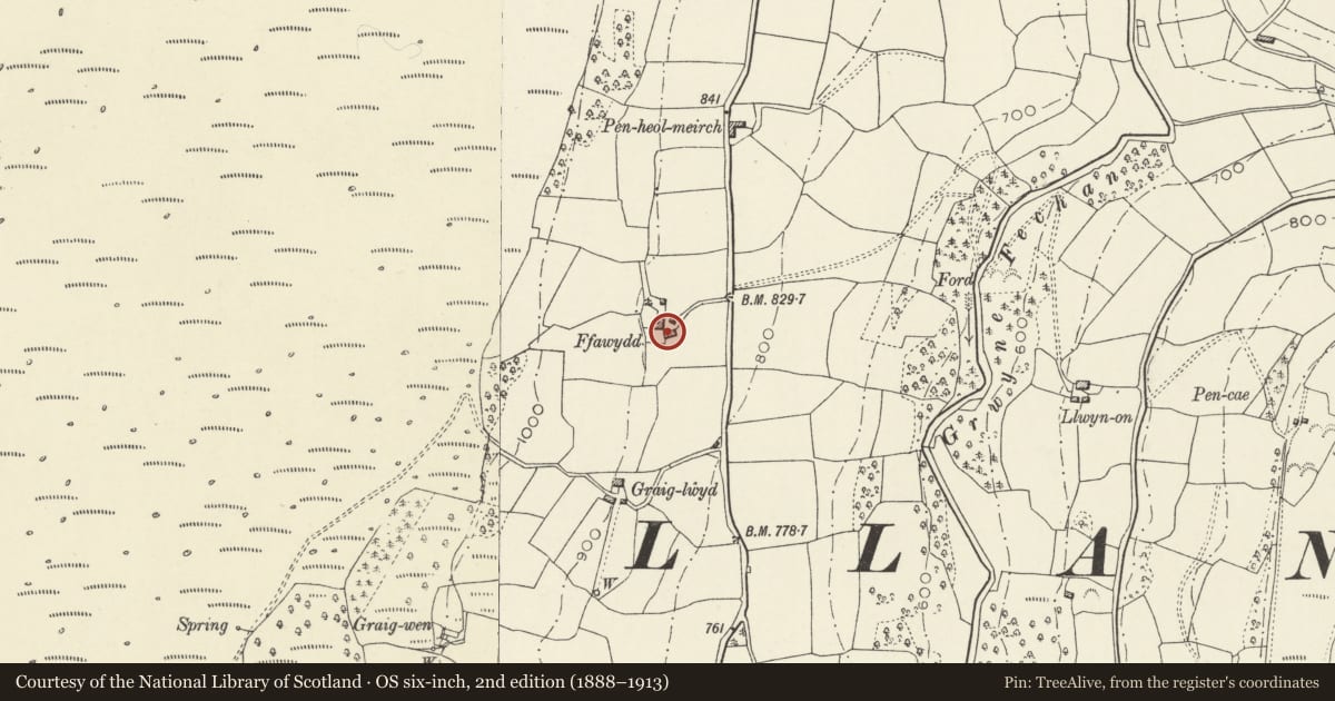 Ordnance Survey six-inch map, 2nd edition (1888–1913) covering the location of Barn at Ffawydd, The Vale of Grwyney, Powys, with a pin at the register's coordinates