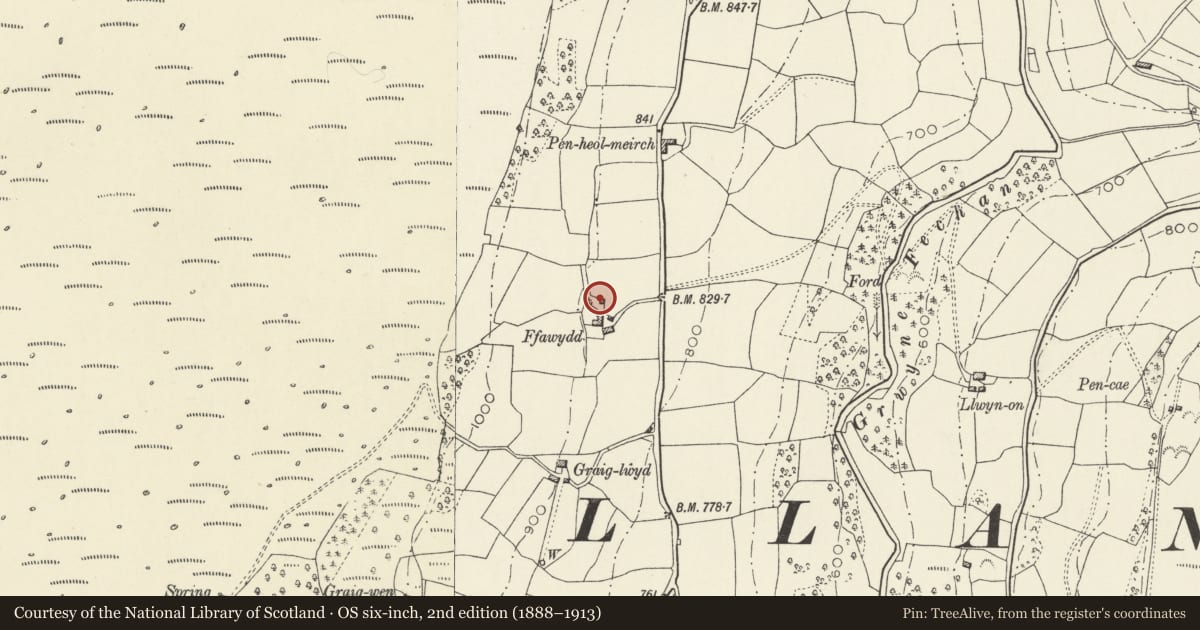 Ordnance Survey six-inch map, 2nd edition (1888–1913) covering the location of Stable at Ffawydd, The Vale of Grwyney, Powys, with a pin at the register's coordinates