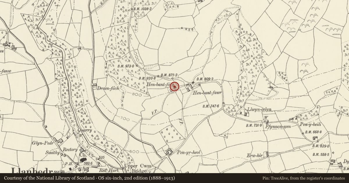 Ordnance Survey six-inch map, 2nd edition (1888–1913) covering the location of Barn at Henbant Fach, The Vale of Grwyney, Powys, with a pin at the register's coordinates