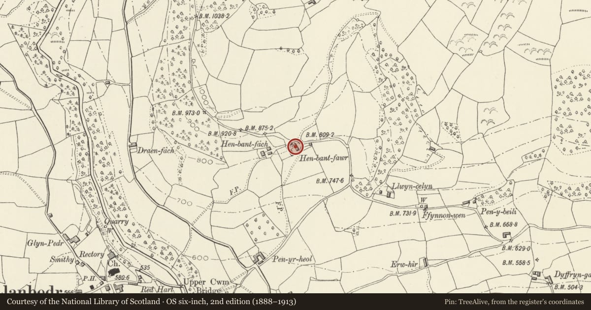Ordnance Survey six-inch map, 2nd edition (1888–1913) covering the location of Barn and Former Bakehouse at Henbant Fawr, The Vale of Grwyney, Powys, with a pin at the register's coordinates