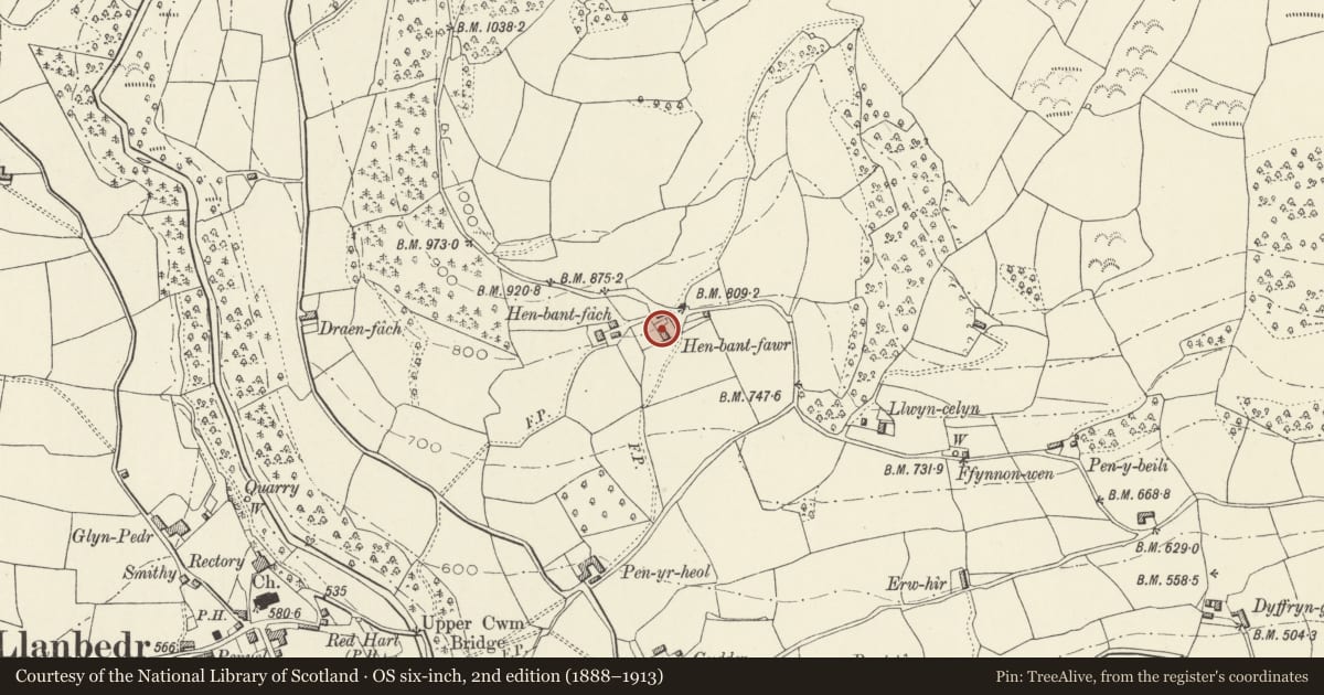 Ordnance Survey six-inch map, 2nd edition (1888–1913) covering the location of Byre at Henbant Fawr, The Vale of Grwyney, Powys, with a pin at the register's coordinates
