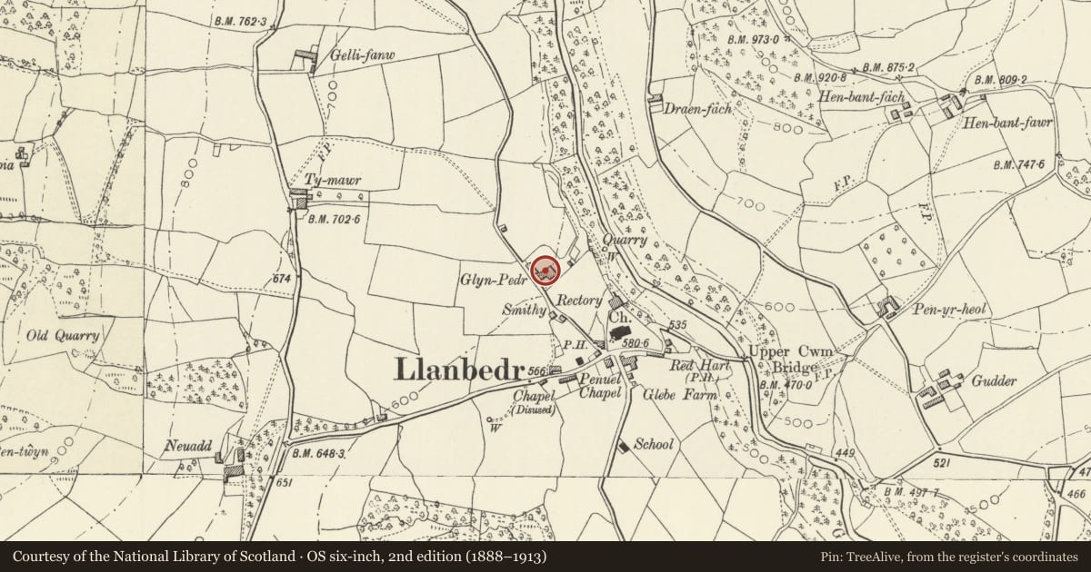 Ordnance Survey six-inch map, 2nd edition (1888–1913) covering the location of Glyn Pedr, The Vale of Grwyney, Powys, with a pin at the register's coordinates