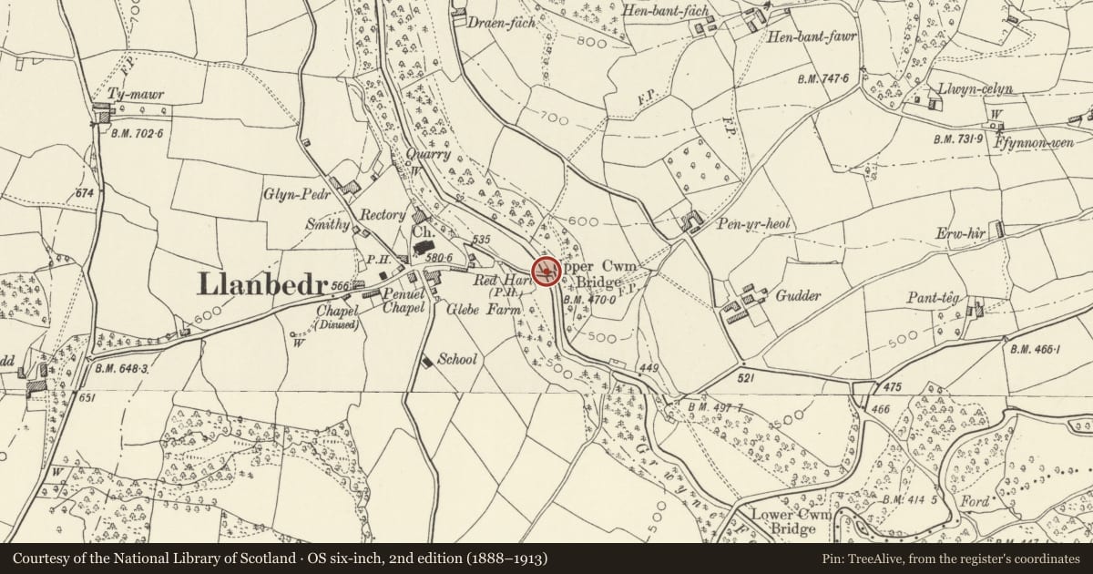 Ordnance Survey six-inch map, 2nd edition (1888–1913) covering the location of Upper Cwm Bridge, The Vale of Grwyney, Powys, with a pin at the register's coordinates