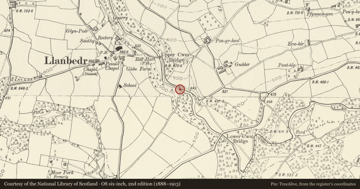 Ordnance Survey six-inch map, 2nd edition (1888–1913) covering the location of Bridge over Grwyne Fawr, Llanbedr, The Vale of Grwyney, Powys, with a pin at the register's coordinates