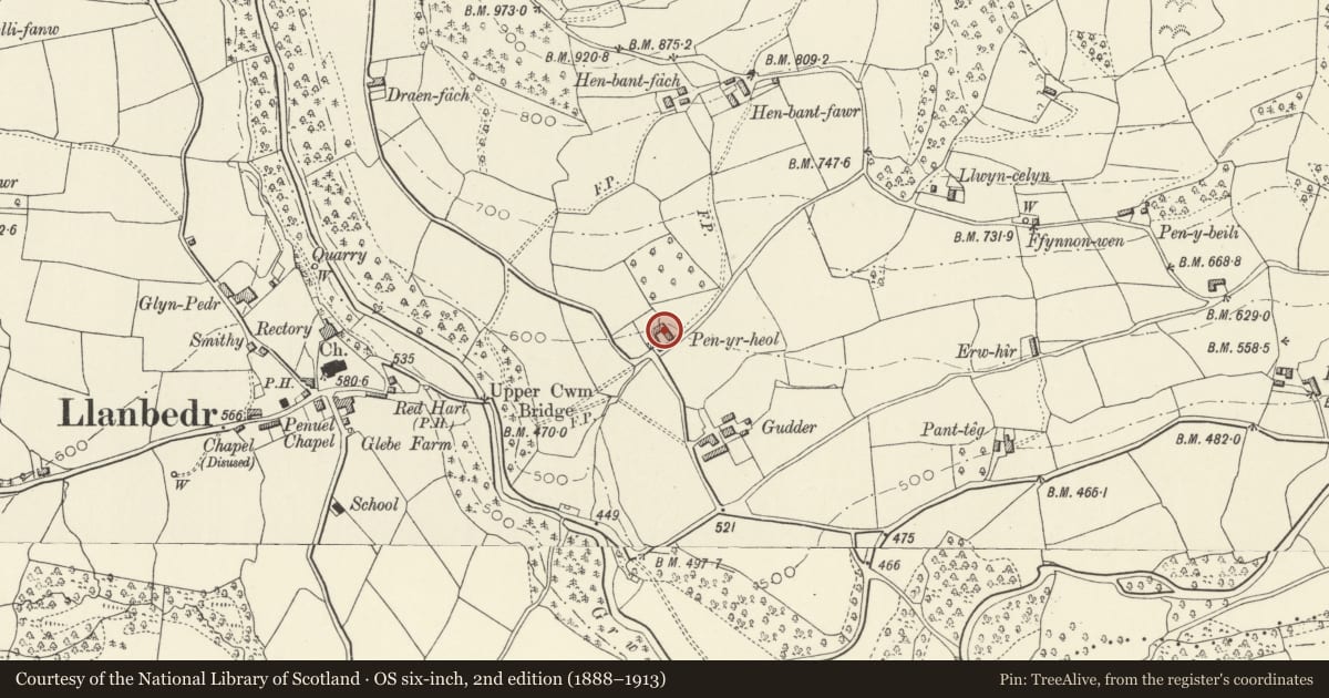 Ordnance Survey six-inch map, 2nd edition (1888–1913) covering the location of Barn at Penyrheol, The Vale of Grwyney, Powys, with a pin at the register's coordinates
