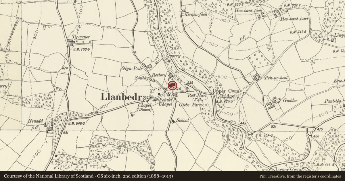 Ordnance Survey six-inch map, 2nd edition (1888–1913) covering the location of Tomb slabs and railings at Church of St Peter, The Vale of Grwyney, Powys, with a pin at the register's coordinates
