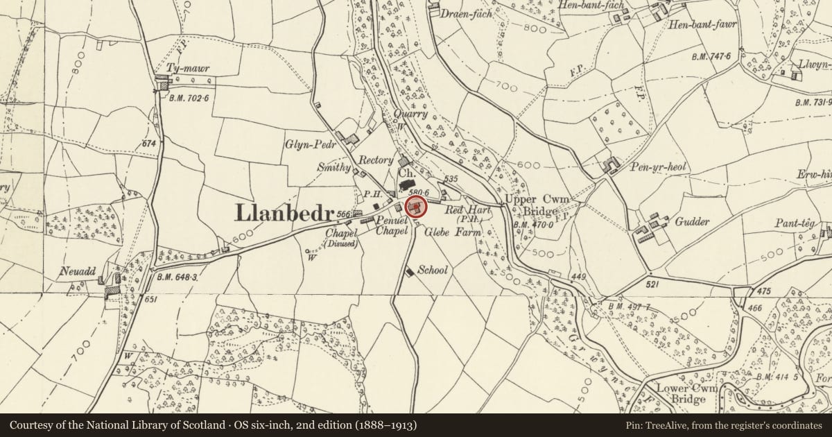 Ordnance Survey six-inch map, 2nd edition (1888–1913) covering the location of Glebe Farm, The Vale of Grwyney, Powys, with a pin at the register's coordinates