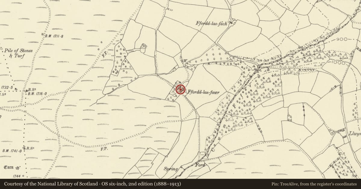 Ordnance Survey six-inch map, 2nd edition (1888–1913) covering the location of Ffordd Las Fawr including attached byre and cattle ramp at downhill end, The Vale of Grwyney, Powys, with a pin at the register's coordinates