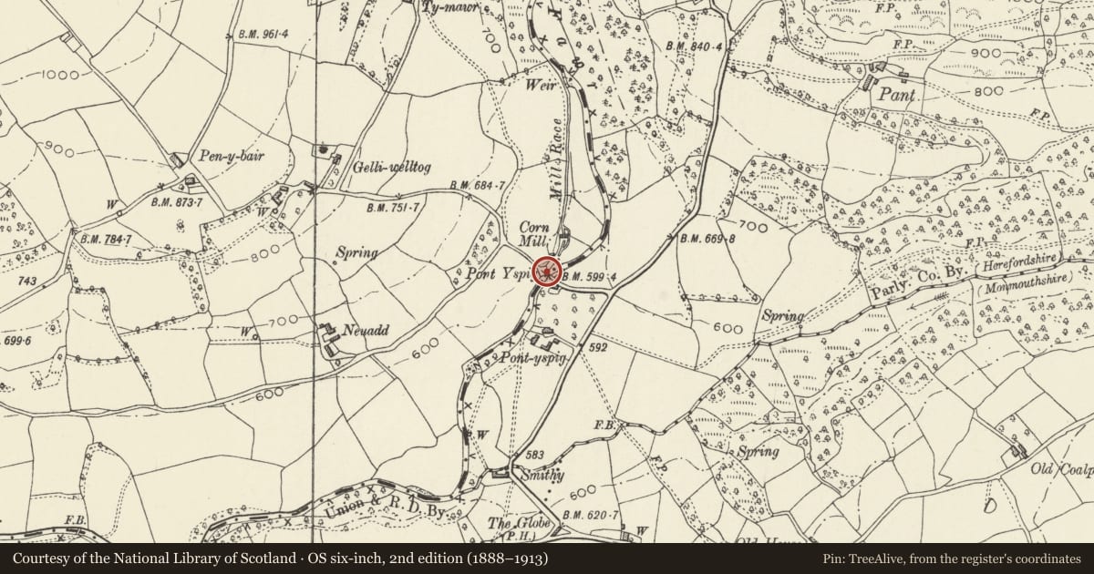 Ordnance Survey six-inch map, 2nd edition (1888–1913) covering the location of Pont Yspig, Crucorney, Monmouthshire, with a pin at the register's coordinates