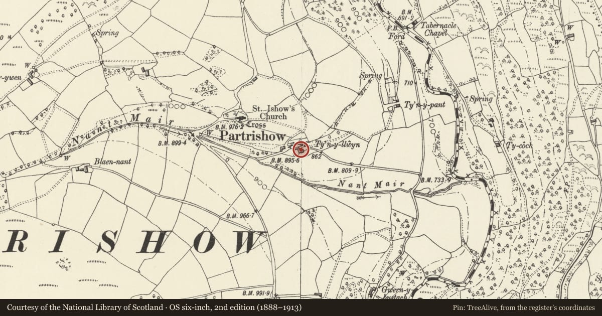Ordnance Survey six-inch map, 2nd edition (1888–1913) covering the location of Byre at Tynyllwyn, The Vale of Grwyney, Powys, with a pin at the register's coordinates
