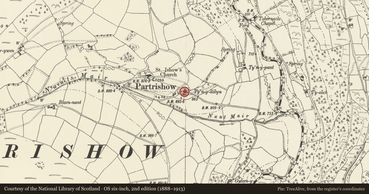 Ordnance Survey six-inch map, 2nd edition (1888–1913) covering the location of Cattle ramp, cobbled pavement and revetment at Tynyllwyn, The Vale of Grwyney, Powys, with a pin at the register's coordinates