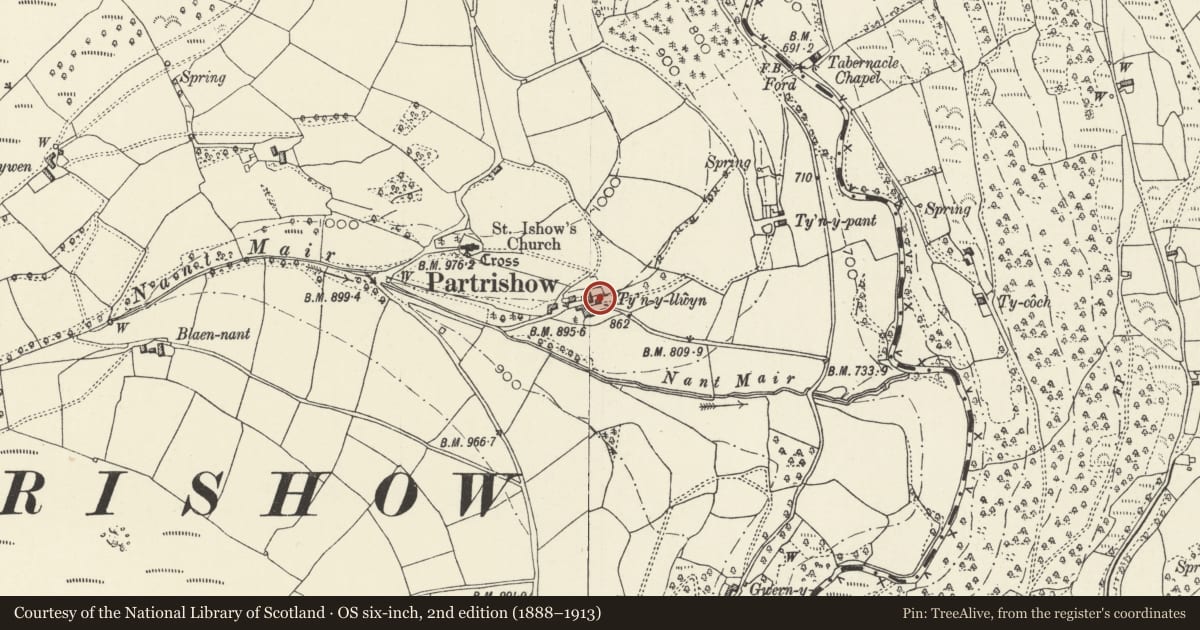 Ordnance Survey six-inch map, 2nd edition (1888–1913) covering the location of Lower Revetment including Steps and Bull Cot at Tynyllwyn, The Vale of Grwyney, Powys, with a pin at the register's coordinates