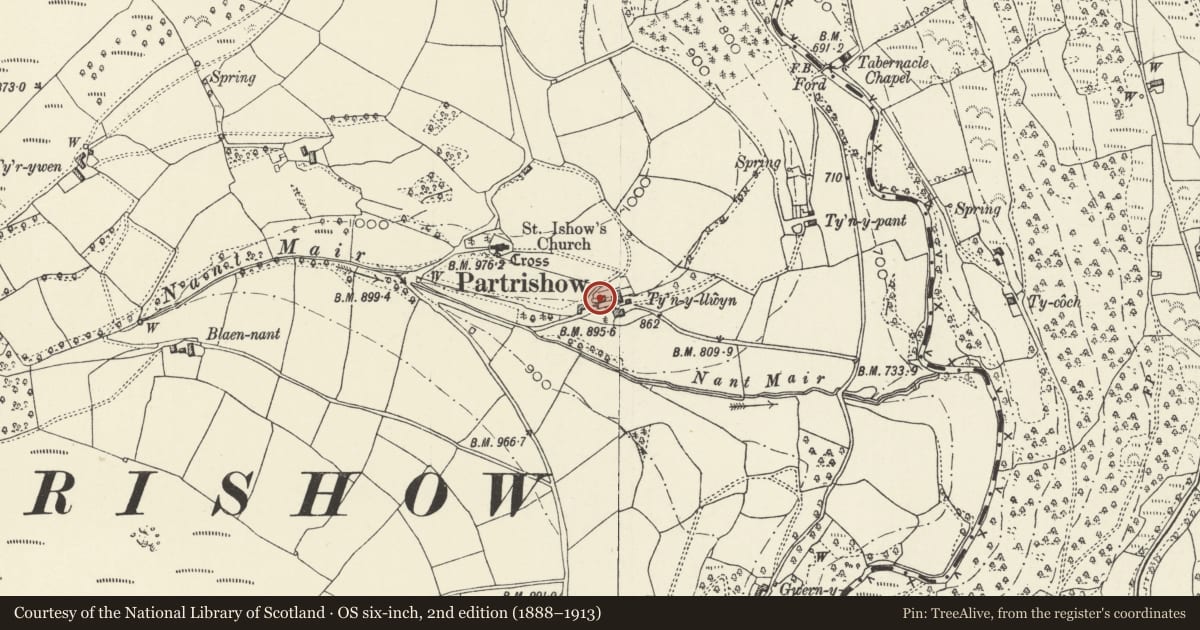 Ordnance Survey six-inch map, 2nd edition (1888–1913) covering the location of Stable at Tynyllwyn, The Vale of Grwyney, Powys, with a pin at the register's coordinates