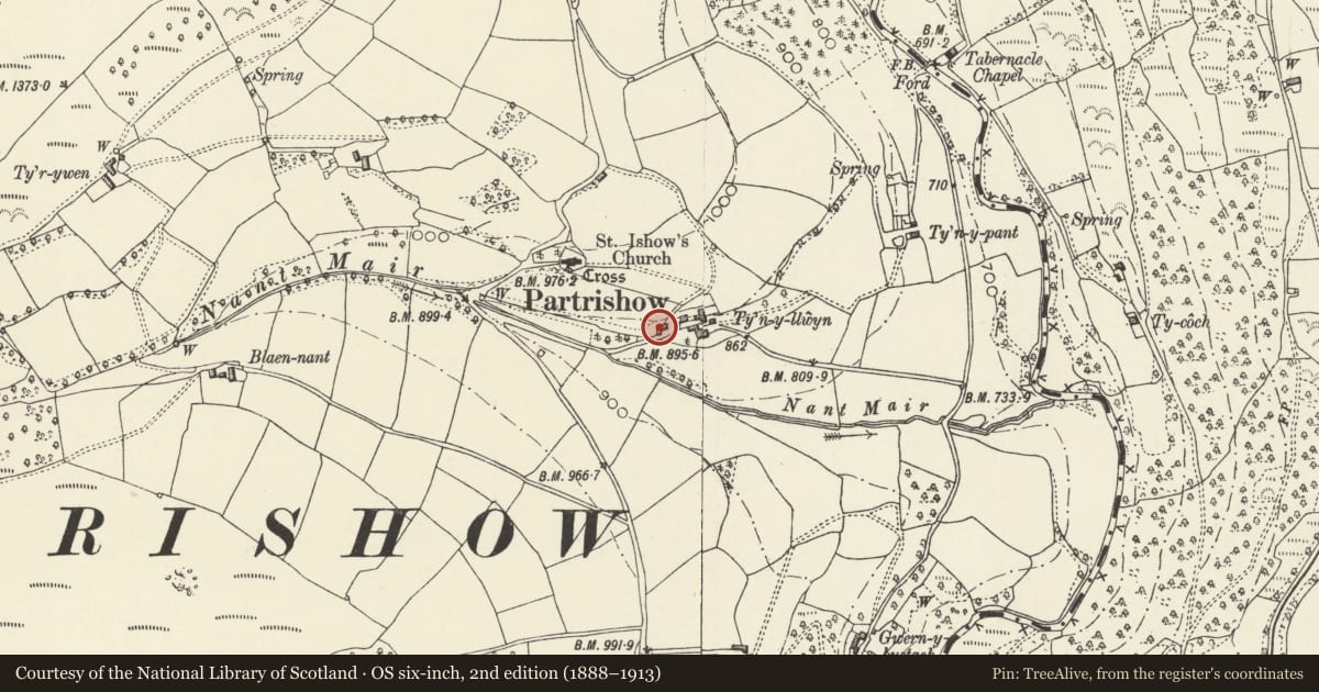 Ordnance Survey six-inch map, 2nd edition (1888–1913) covering the location of Cart Shed and Cider Mill at Tynyllwyn, The Vale of Grwyney, Powys, with a pin at the register's coordinates