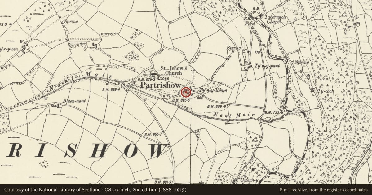 Ordnance Survey six-inch map, 2nd edition (1888–1913) covering the location of Hen house and attached wall at Tynyllwyn, The Vale of Grwyney, Powys, with a pin at the register's coordinates