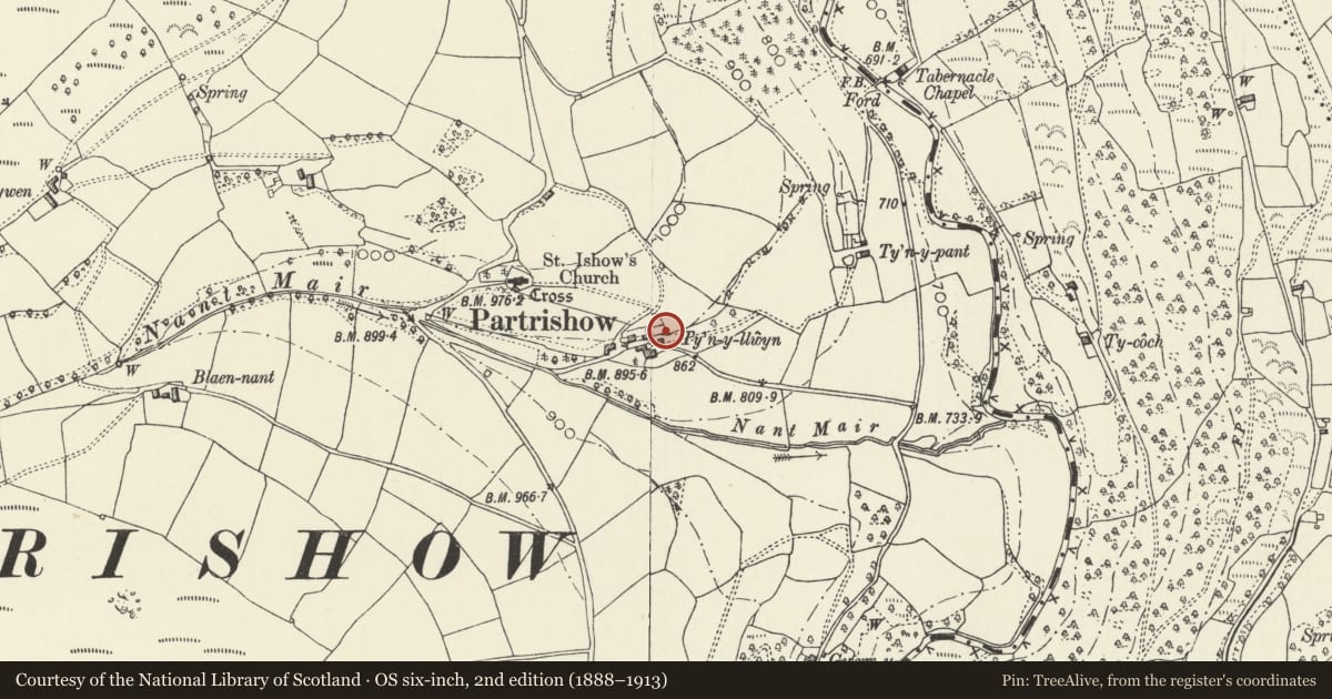 Ordnance Survey six-inch map, 2nd edition (1888–1913) covering the location of Pig Sty, Ty Bach and Associated Walls at Tynyllwyn, The Vale of Grwyney, Powys, with a pin at the register's coordinates