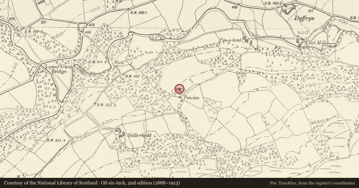 Ordnance Survey six-inch map, 2nd edition (1888–1913) covering the location of Barn with attached L-shaped range at Penlan, The Vale of Grwyney, Powys, with a pin at the register's coordinates