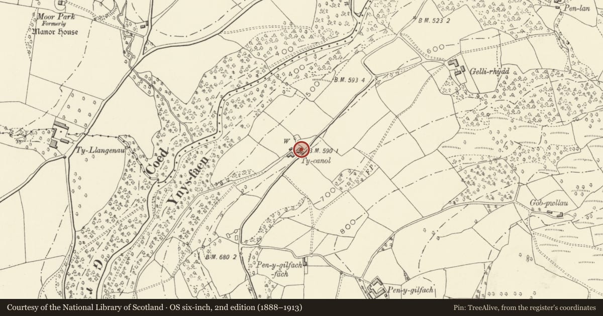 Ordnance Survey six-inch map, 2nd edition (1888–1913) covering the location of Ty Canol, The Vale of Grwyney, Powys, with a pin at the register's coordinates