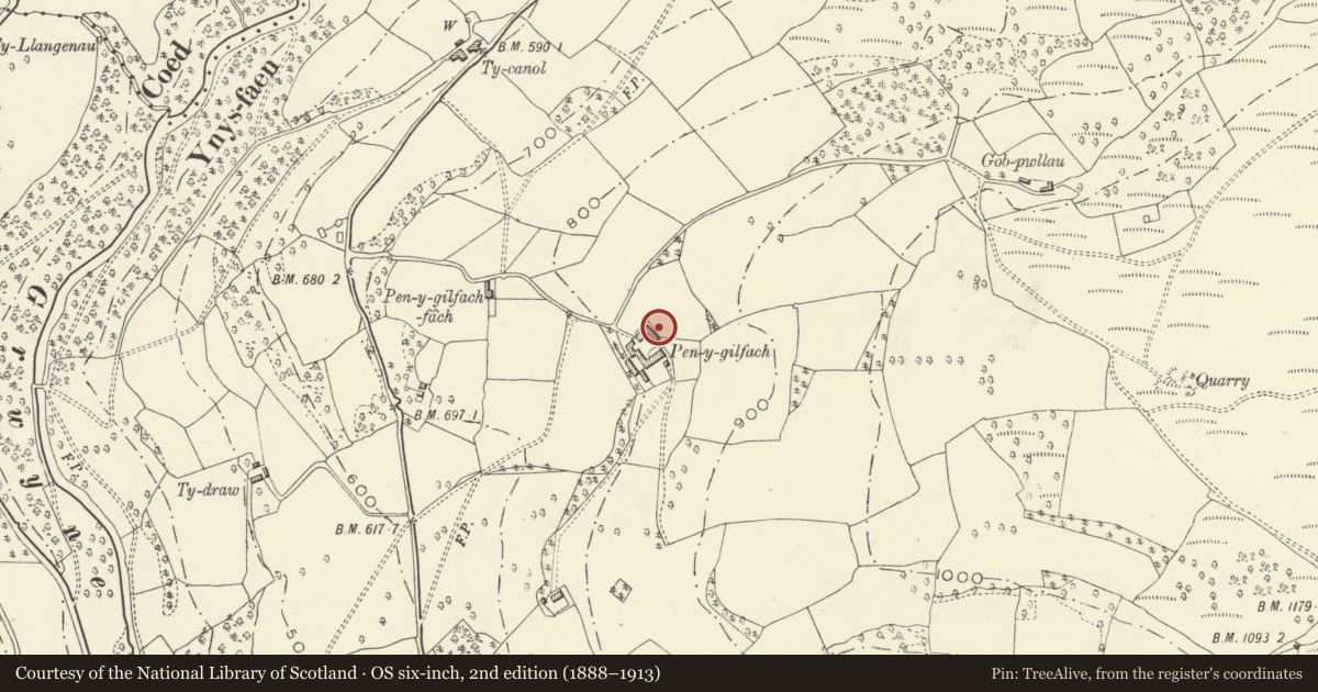 Ordnance Survey six-inch map, 2nd edition (1888–1913) covering the location of Byre at Penygilfach, The Vale of Grwyney, Powys, with a pin at the register's coordinates