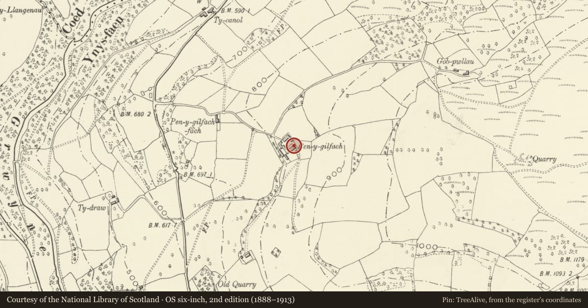 Ordnance Survey six-inch map, 2nd edition (1888–1913) covering the location of Penygilfach, The Vale of Grwyney, Powys, with a pin at the register's coordinates